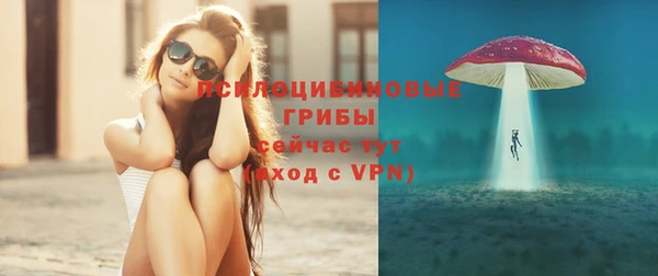 винт Белокуриха