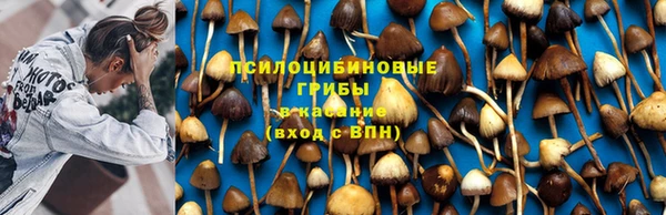 винт Белокуриха