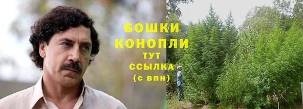 винт Белокуриха